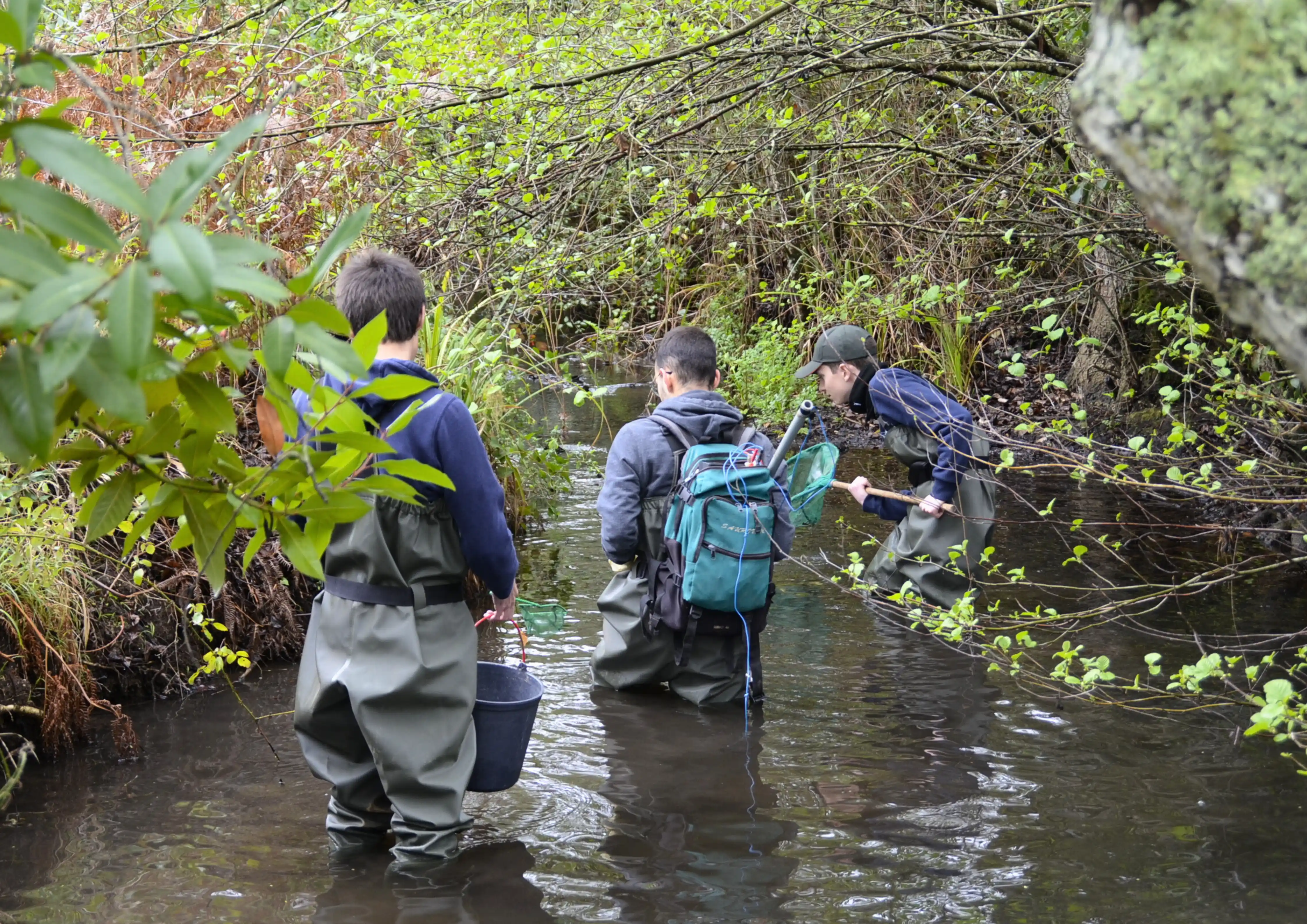 aulas_c️-raquel-oliveira-1