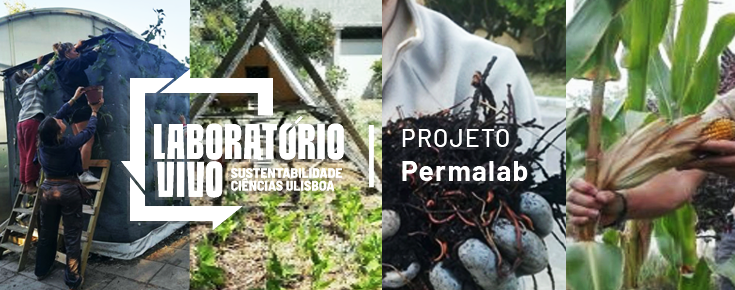 banner-permalab