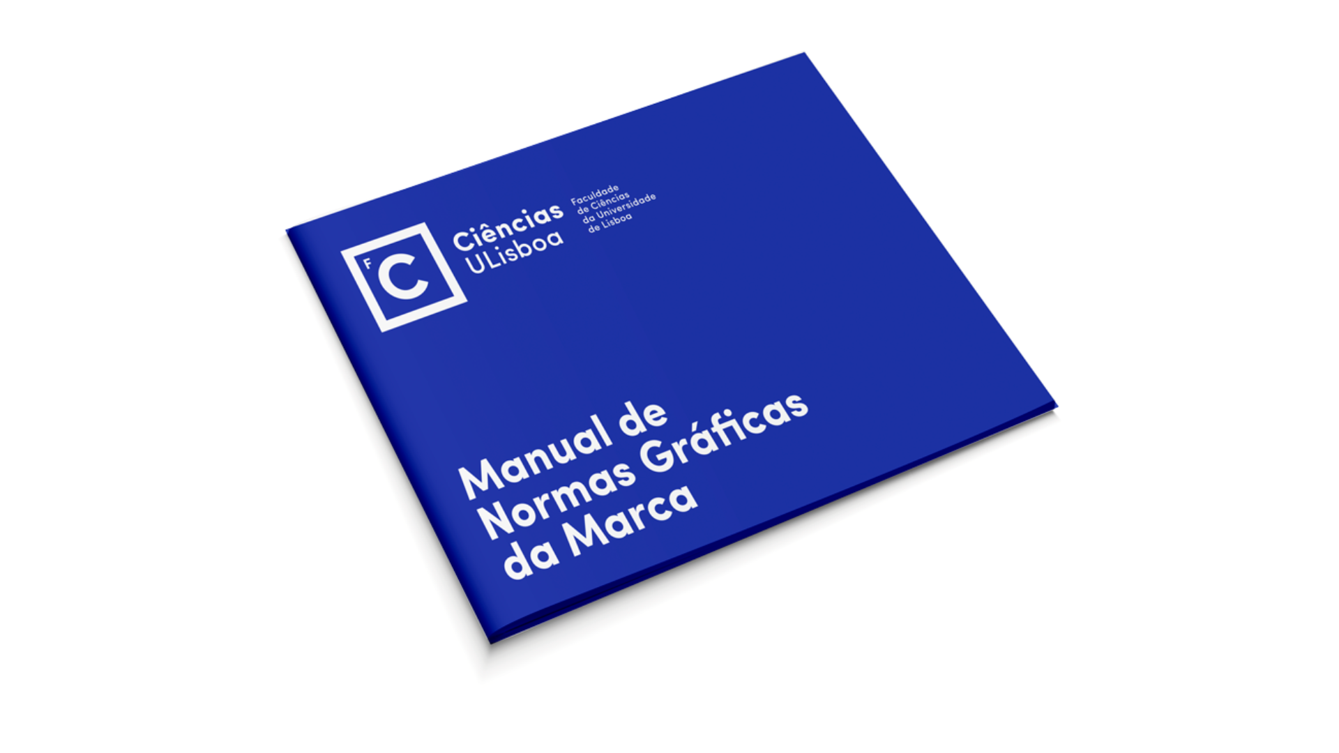 manual-de-normas
