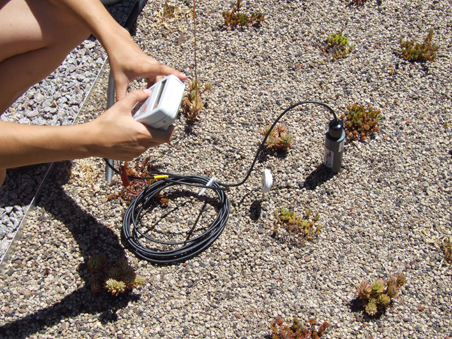 Measurement of the substrate's relative humidity (RH)