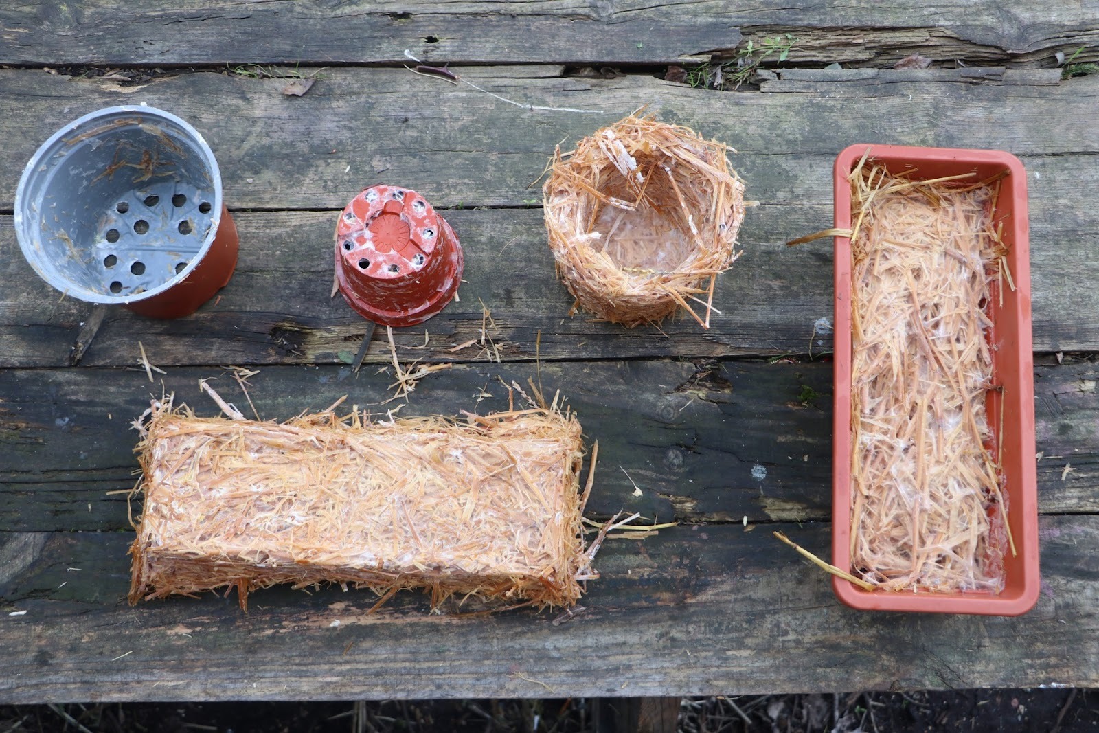 Testes de vasos e maquetes feitas a partir de fungos, os biomateriais são  soluções mais sustentáveis utilizadas em diversas áreas, desde a medicina à construção