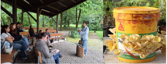 Diogo Ribeiro a dar uma palestra de produção de cogumelos, Cogumelos Ostra Amarelo