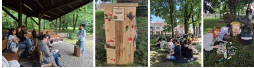Eslovénia: Palestra de produção de cogumelos, estação “pop up", picnic de cogumelos, pintura da estação