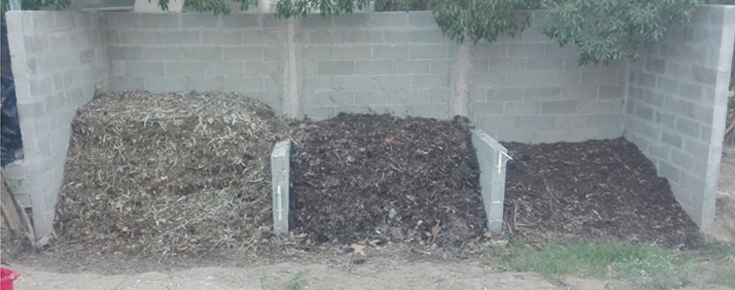 Composting and vermicomposting