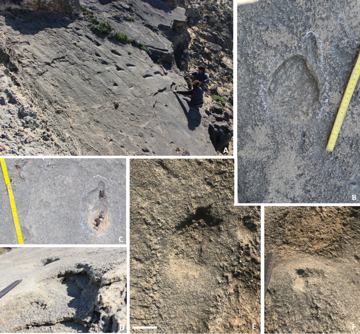 Pegadas de hominídeos em eolianitos da costa sudoeste de Portugal.