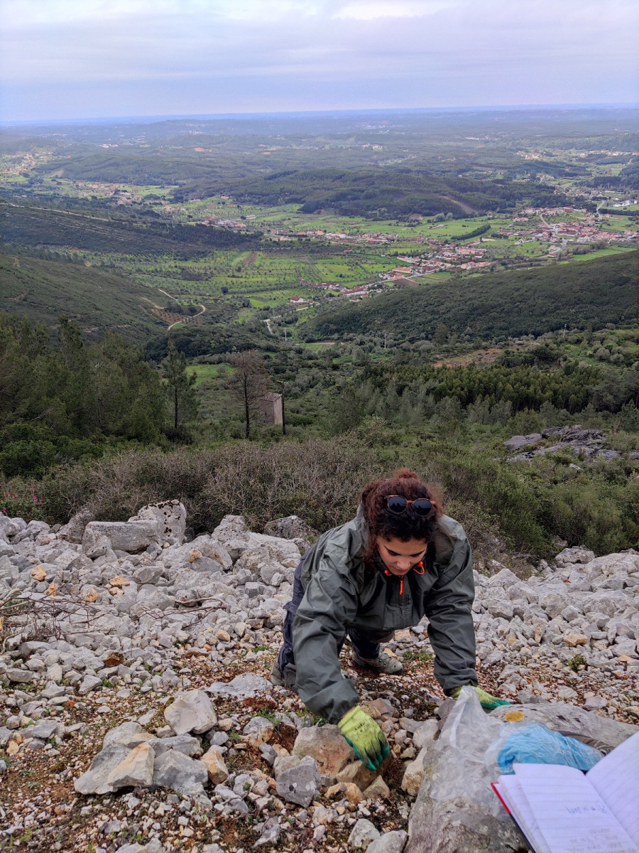 Rita Eusébio, durante o trabalho de campo, em Alcobertas - Rita Eusébio - CIÊNCIAS Ulisboa