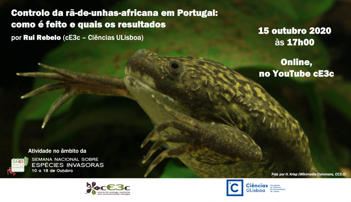 Controlo da rã-de-unhas-africana em Portugal: como é feito e quais os resultados