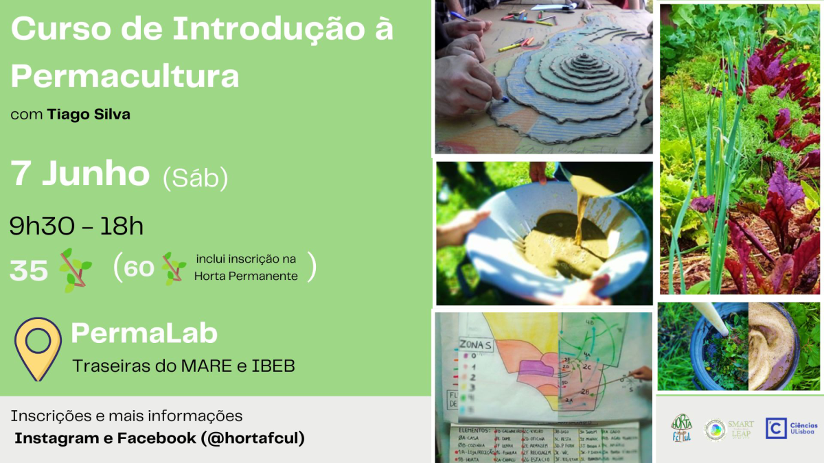 Cartaz do curso