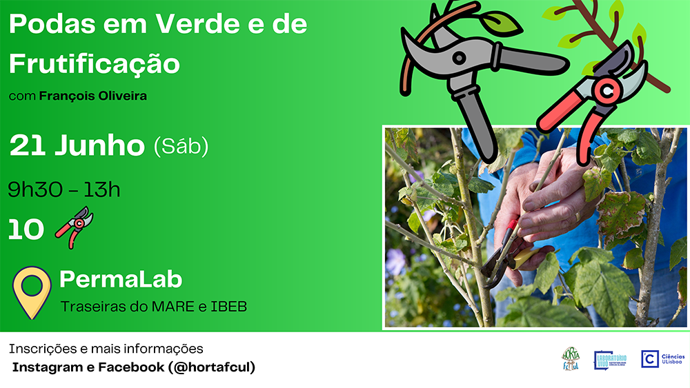 Cartaz do evento