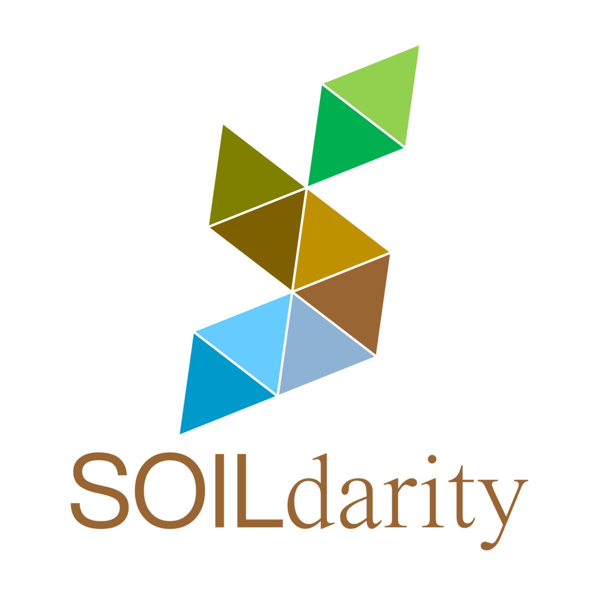 Logótipo do Projeto Soildarity