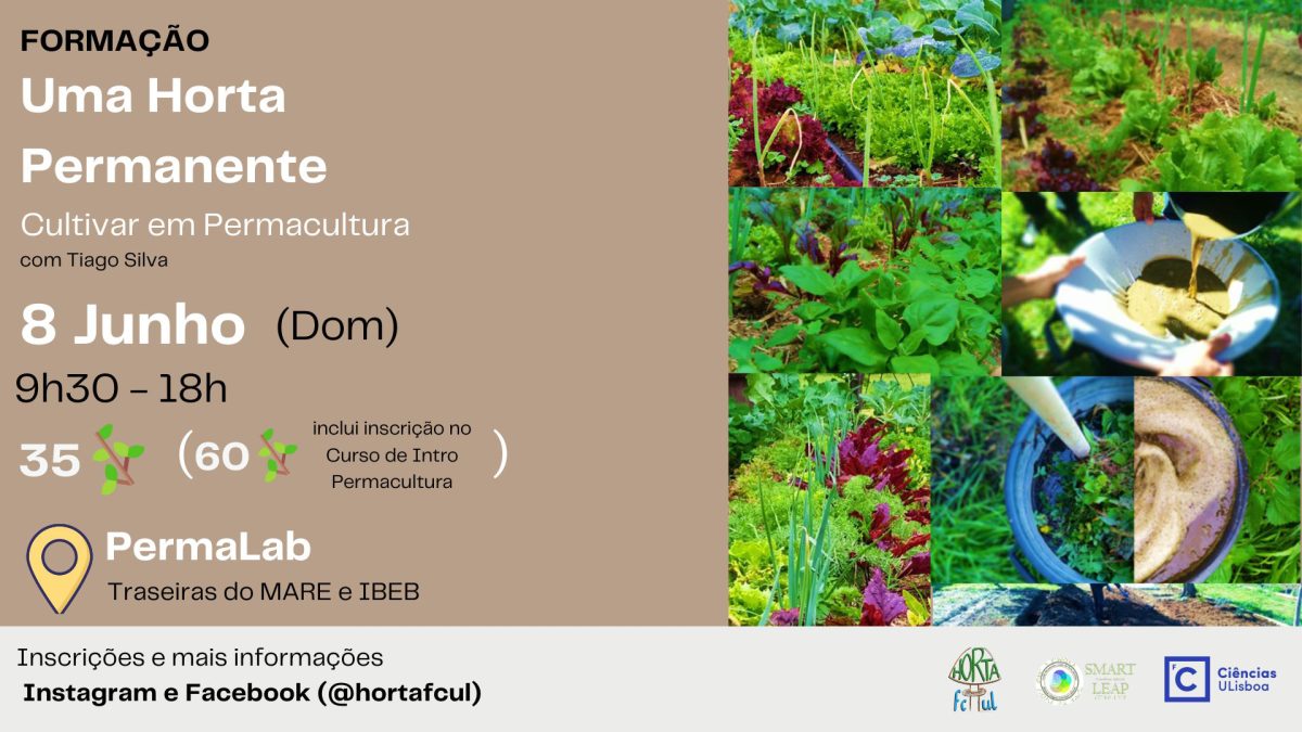 Cartaz do curso