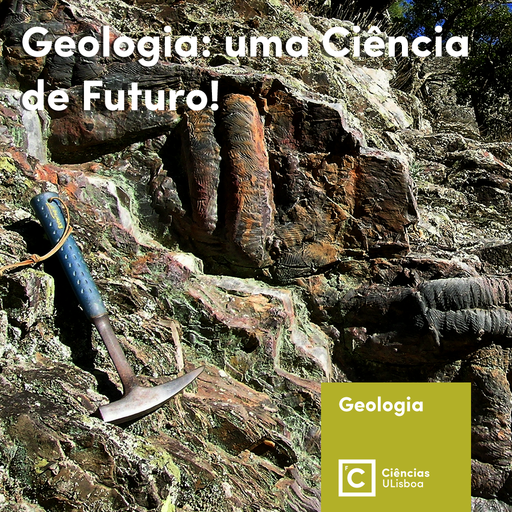 Licenciatura em Geologia