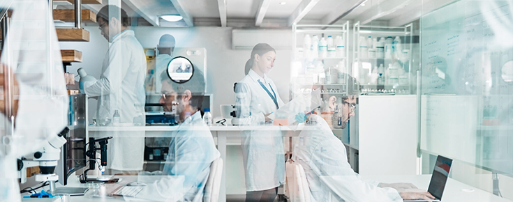 People working in a laboratory