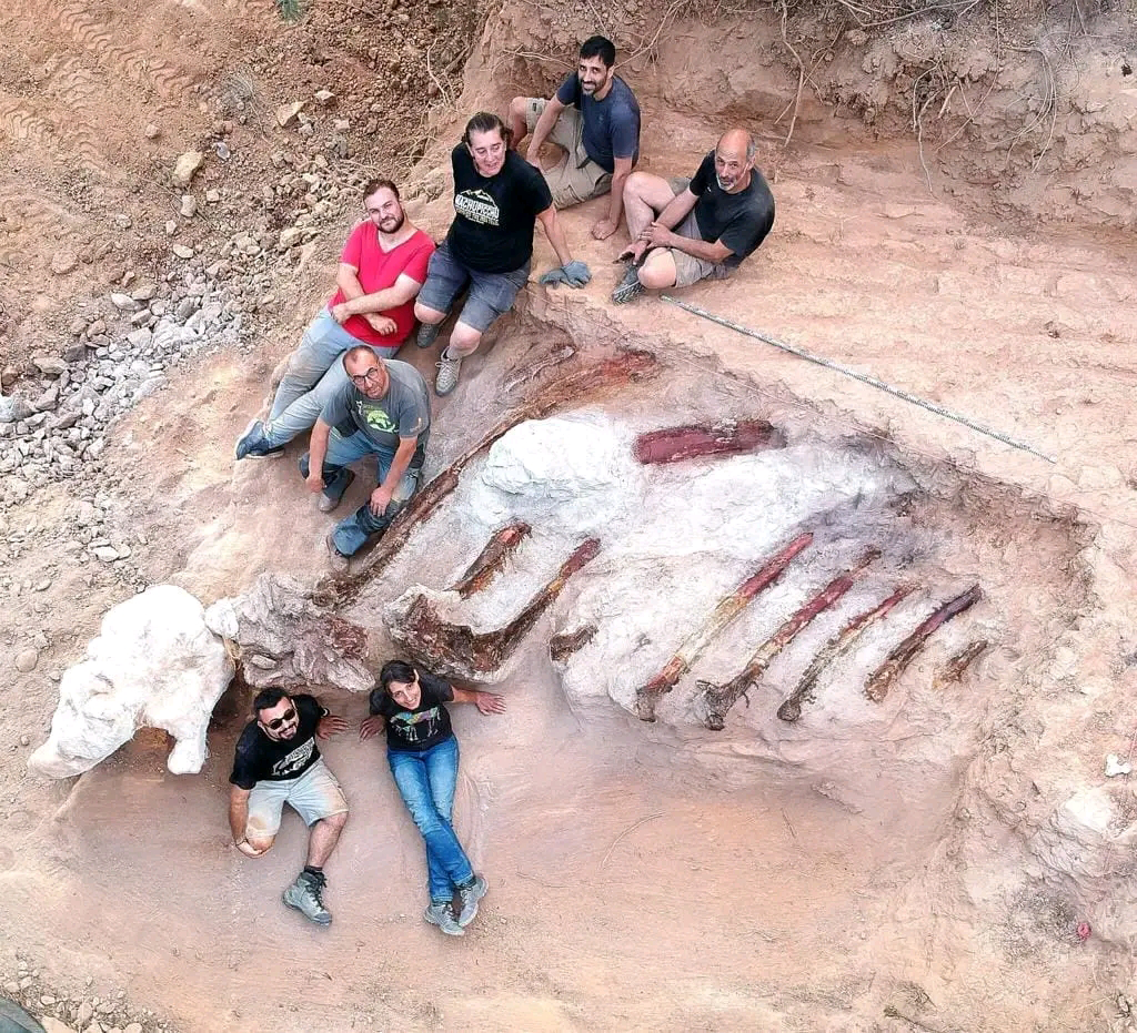Paleontólogos em escavação