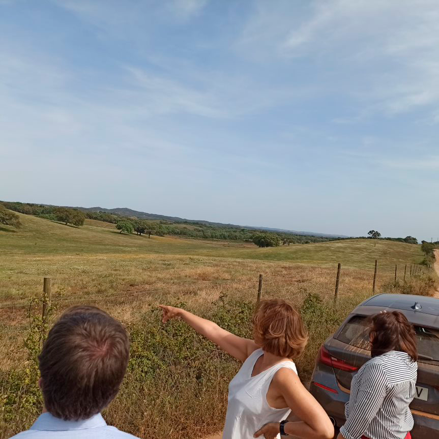 3 pessoas a olhar para um campo 