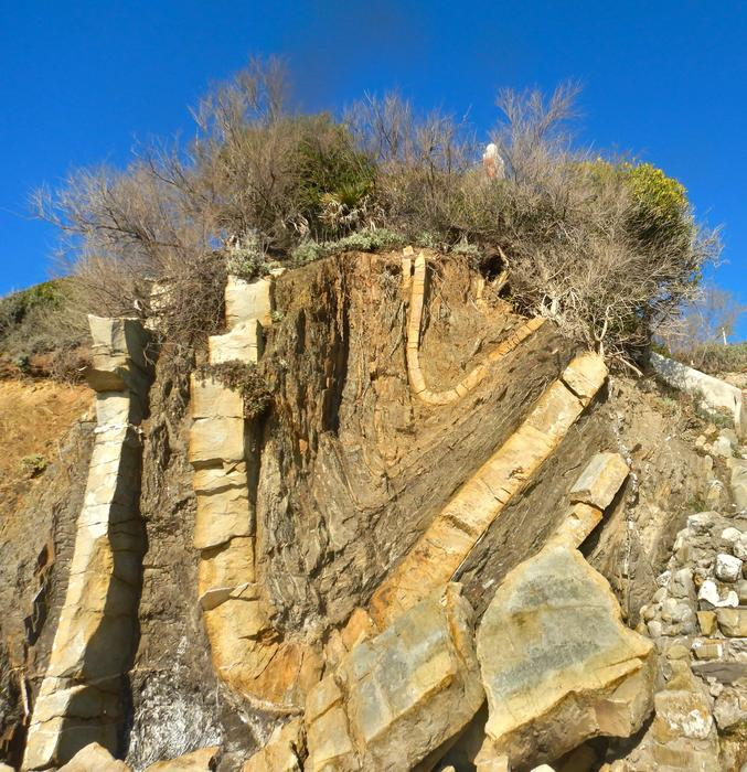  sítio paleontológico Quercianella na Itália