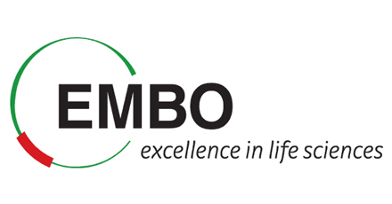 Logotipo EMBO
