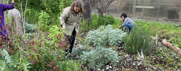 Voluntárias da HortaFCUL mondam ninhos de plantas no Bioilhas@MARE  Fonte HortaFCUL