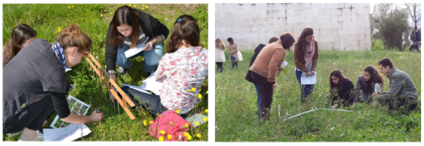 Sampling of plant species