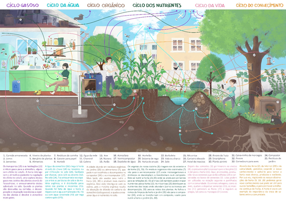 Ilustração dos ciclos de uma horta