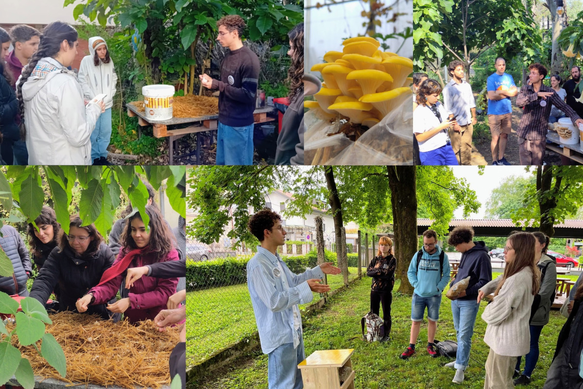 Eventos, workshops e aulas promovidas pelo projeto 