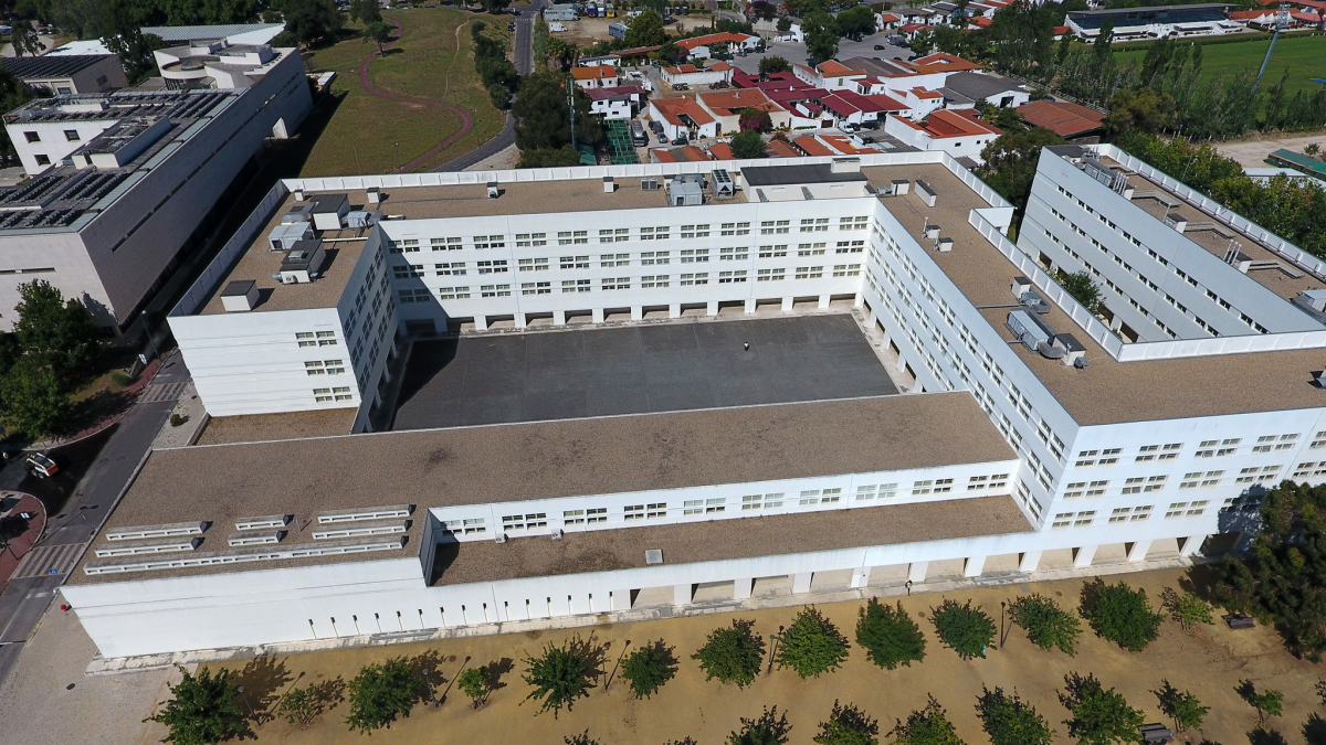 Clube de Xadrez  Ciências ULisboa