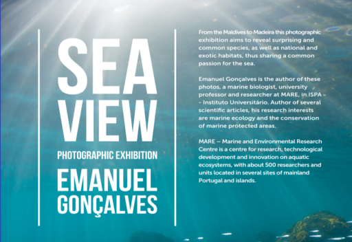 Cartaz da exposição "Vista para o Mar"