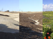 4 fotografias da envolução do terreno