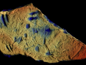 Laje rochosa - primeiras evidências de vertebrados do fundo do mar