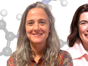 Helena Gaspar e Alexandra M. Antunes, pormenor de estrutura molecular N-desetil-isotonitazeno em fundo