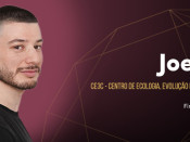 Joel Laia