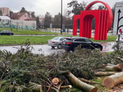 árvores caídas na Alameda da Universidade