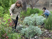 Voluntárias da HortaFCUL mondam ninhos de plantas no Bioilhas@MARE