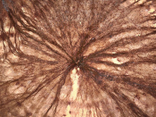 Imagem abstrata