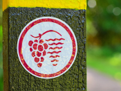Fotografia de placa de identificação de zona de plantação de vinha