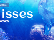 Título "Projeto Ulisses", inserido em imagem composta de vida marinha e de plásticos