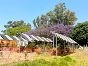 Horta Solar