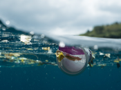 Microplásticos em suspensão no oceano