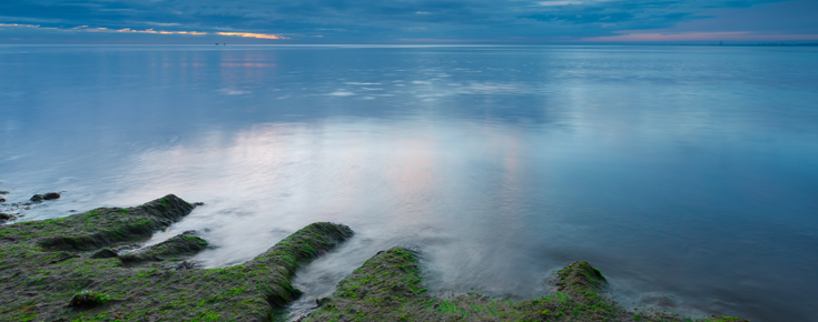 Costa coberta de algas