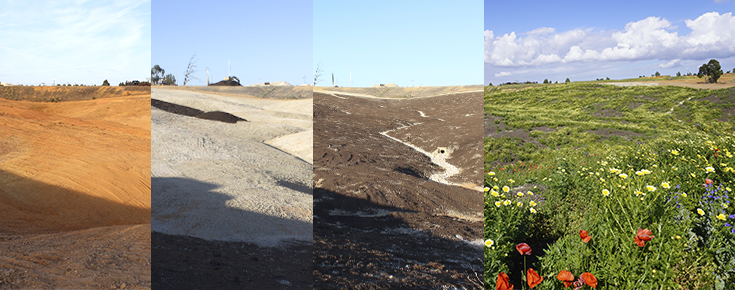 4 fotografias da envolução do terreno