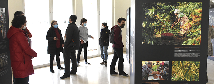 pessoas observam a exposição