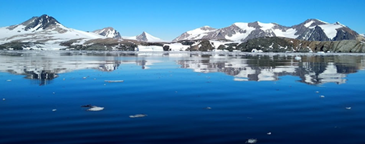 Paisagem antártica na zona de estudo