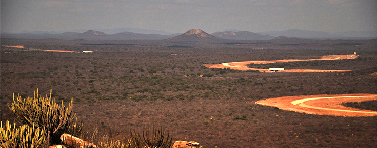 paisagem da caatinga