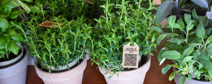 plantas com QR code do Relatório de Sustentabilidade