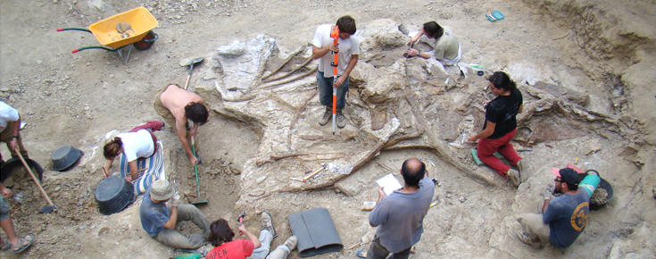 pessoas numa escavação numa jazida de fósseis
