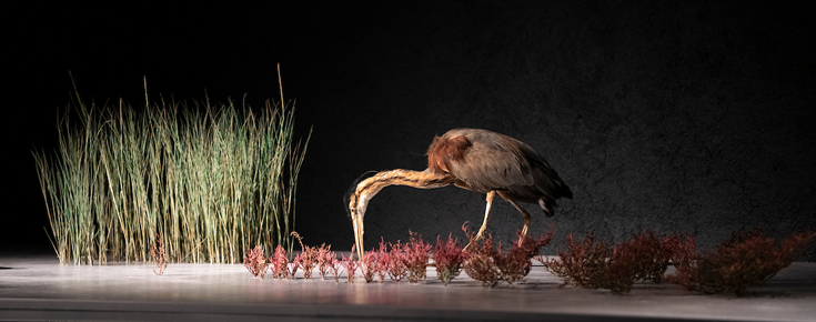 Exposição Variações Naturais – uma viagem pelas paisagens de Portugal 