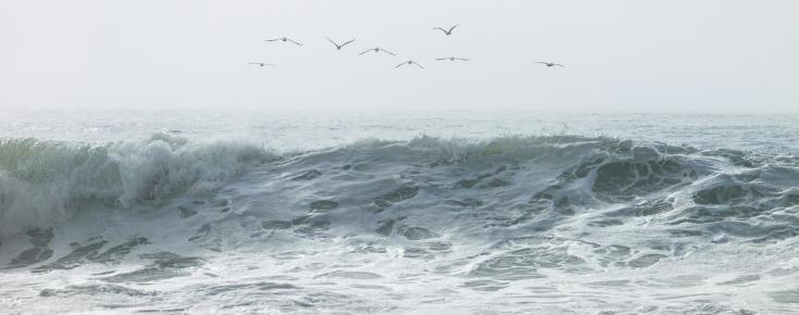 OAEPIIP - Pode o oceano ajudar-nos a equilibrar o clima? Foto de uma onda no mar