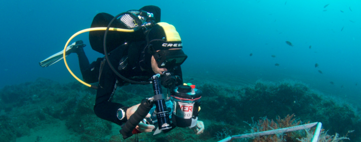 Mergulho científico em campanha de monitorização da biodiversidade subaquática ao largo da costa da Ilha da Madeira