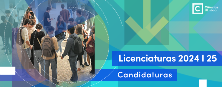 Banner Licenciaturas CNA 2024 Licenciaturas CNA 2024