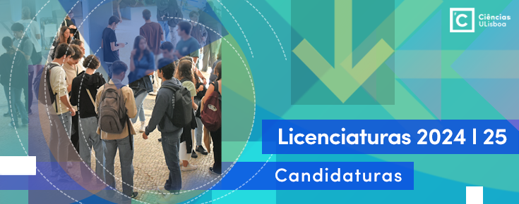 Licenciaturas CNA 2024